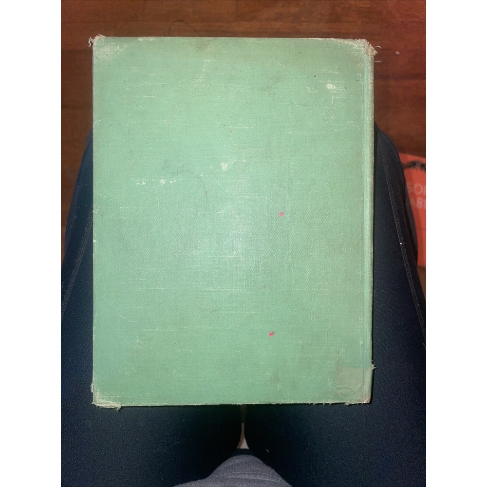 Zeke‎ The Raccoon By Rhea Wells Published 1938 - Picture 10 of 10